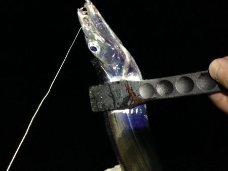 タチウオは釣れるが…